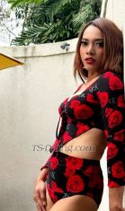 shofia nicole Denpasar Bali Transex ....dear call me SHOFIA NICOLE
Im freelance model

I'm ladyboy shemale 
Im visitor in Bali. 

Good looking 
Good attitude 
Friendly

Enjoy with sex not rushing finist until u and me cum.

Perfect dick hard no hormones 
I know you still
looking and hungry for the sex satisfaction that you never
had before... 
Here your dreams and fantasies will come
true. Your Queen feminine dominance comes with the best of
both worlds: classy, clean, healthy, versatile top and
bottom with beautiful big long and thick cock (7.5inch)
ready to rock you... we can do wht u fetish 

Being
smart, delightful, open minded, understanding what you need
to achieve your unforgettable sexual experience is my
priority...



MY SERVICES 
# Kissing

# Blow job 69
#Top dick 7.5inci hard cum alot

(no hormones)
# Rimming 
# Bottom 
#
Hangout go dinner drink bar club room
# Bed romance (
Girlfriend Experience )

# Kinky 
# Fetish

# Bdsm
# Bondage 
# Sex toys
# Sex party
3some
#gangbang 

( FUll services good price
$$$)
No real picture and dick not pay
I dont like
drama bla bla..bla

I look forward to getting you in
front of me on your knees!!
WhatsApp :
+60149056843
WeChat : sdjsharaya 
Instagram:
sdjsharaya 

One last thing what I really want to
say, you will never ever forget my name after meeting me '
NICOLE '
Area.legian .kuta .seminyak. canggu .nusadua.
uluwatu .ubud. sanur. jimbaran.denpasar.
Available
incall and out call
LADYBOYS. SHEMALES. TS