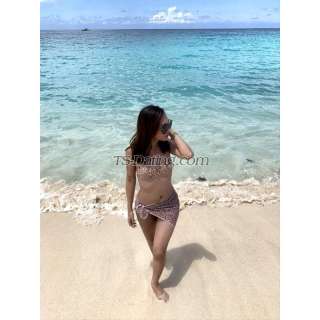 trans girl sweetdolly 3101219 trans girl sweetdolly 3101219