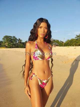 trans girl sweetestkim9 5249372 trans girl sweetestkim9 5249372