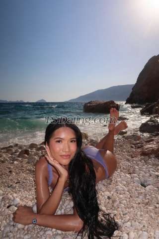 trans girl sweetestkim9 8980798 trans girl sweetestkim9 8980798