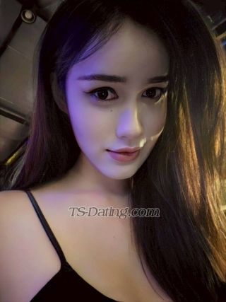 trans girl TA1160 8845176