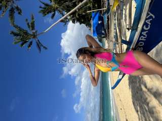 trans girl THICKcockTS 4219171 trans girl THICKcockTS 4219171