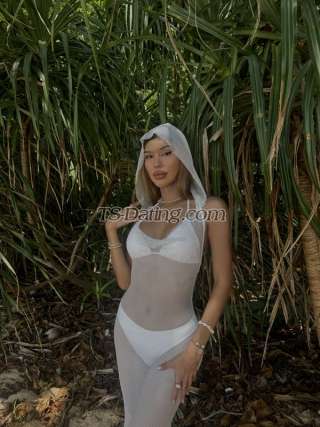 trans girl THICKcockTS 8131954 trans girl THICKcockTS 8131954