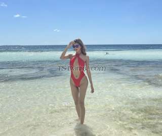 trans girl THICKcockTS 8869268 trans girl THICKcockTS 8869268