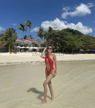 trans girl THICKcockTS 9345044 trans girl THICKcockTS 9345044