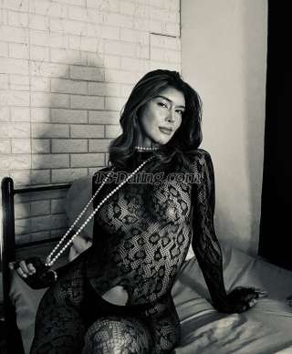 trans girl THICKcockTS 9386721 trans girl THICKcockTS 9386721