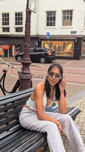 trans girl TRANSSALEEN 1913038 trans girl TRANSSALEEN 1913038