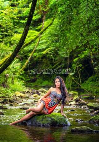 trans girl TS Amber 7828531 trans girl TS Amber 7828531