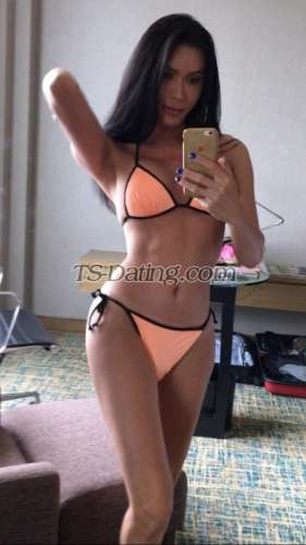 trans girl TS Georgina 5283427 trans girl TS Georgina 5283427