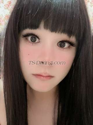 trans girl TS367 1331233 trans girl TS367 1331233