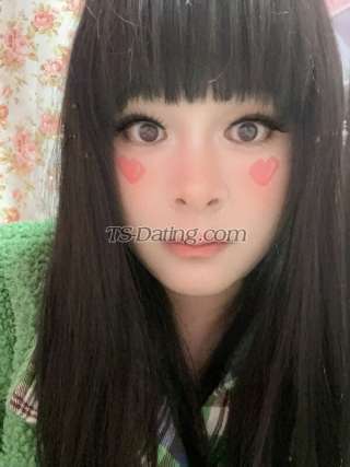 trans girl TS367 1331335 trans girl TS367 1331335