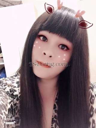 trans girl TS367 7034059 trans girl TS367 7034059