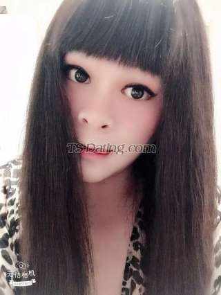 trans girl TS367 7034081 trans girl TS367 7034081