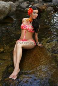 TS69KIMBERLY Newry Transex 
I HAVE TOO SEXCAM AND HOT CONTENT VIDEOS
PRIVATE
PAYPAL 
BANCOLOMBIA 
revolut

Nequi
Bank transfer
DAVIPLATA
Hello, good
day all of you... thank you very much for visiting my
profile... my name is TOPTS KIMBERLY VERSATIL... I am 36
years old and I come from the country of beautiful Latin
women COLOMBIA... I AM AN AUTHENTIC TRANS Super active
dominant and also passive... I am tall and with a figure so
you can enjoy every inch of my body including the 18
centimeters of cock that I have... always hard and very
milky so you can enjoy a true bsexual with an incredible
woman's body and my toy always hard to give you all the
pleasure you deserve... give me the pleasure of serving you
and you will know what a good transsexual experience is... I
am an expert in beginners... very professional... clean and
educated with good treatment and a pleasant experience... ..
I am very accommodating to everything you expect from your
experience. since apart from it being my job I also enjoy it
since I am very fluid and insatiable in sex, I am very
ardent and nymphomaniac in bed without taboos .. I like to
kiss with tongue that we both enjoy this encounter .. I do
oral without a condom and deep throat .. . I lick your balls
and I also suck your ass very deep since I like this a lot
......... if you have, any intimate fantasy you can share it
with me and I will surely please you .... I am expert in
beginners .... I have taken the virginity of many boys
......... I am dominant I have latex clothes and boots
because I like to be dominant .... I can also be submissive
if that is what you want ....
also erotic games ..
dildos ..... transformism ..... . makeup ...... groups and
sex parties .....
thank you very much for taking the
time to know a little about me I can assure you a wonderful
experience and unforgettable sex... kisses, I'll wait for
you