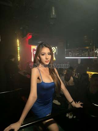 trans girl TSAYESHAA 6410688 trans girl TSAYESHAA 6410688