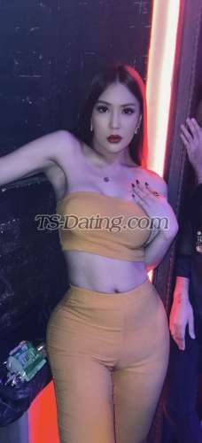 trans girl TSAYESHAA 8555097 trans girl TSAYESHAA 8555097