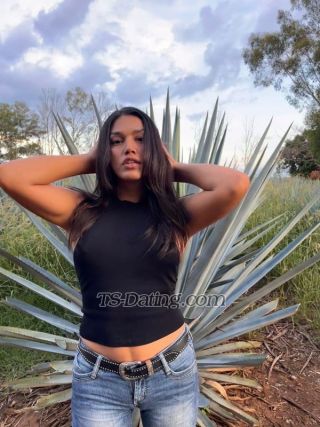 trans girl TSAnaPaulin 9244761 trans girl TSAnaPaulin 9244761