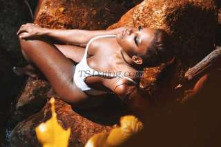 trans girl TSBeyonce 8926094