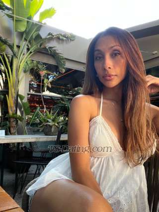 trans girl TSJamaicca 9122174 trans girl TSJamaicca 9122174