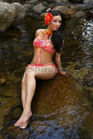 trans girl TSKIMBERLYTOP 6185432 trans girl TSKIMBERLYTOP 6185432