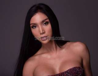 trans girl TSReina 5369529 trans girl TSReina 5369529