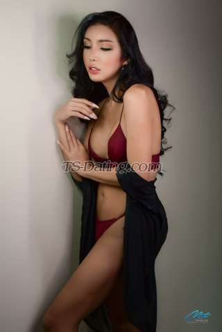 trans girl TSReina 5370031 trans girl TSReina 5370031