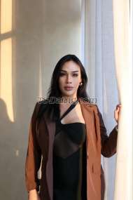 TSRihana Manama Transex Transexuelle. Bonjour, je suis Rihanna de Thaïlande, plus de baise hard avec un passif Bienvenue madame et monsieur maintenant✅ 24 heures ✅ Haut et bas plus TOP Baise très fort Je peux jouir pour toi Couple que j'aime 💦 Sexe en groupe avec Can Swing Super spécial, je peux aider un couple mari et femme, leur permettre d'être heureux. 🔔Service système complet pour vous 🤐tout est confidentiel. 🛀J'ai une chambre propre 💆💆🏼‍♂️ vous pouvez vous détendre et un petit massage relaxant 🤩J'accueille tous les genres et tous les âges, quel que soit le sexe. Et je respecte tout le monde. J'aime essayer des choses nouvelles et différentes. On peut apprendre, dis-moi ce que tu veux