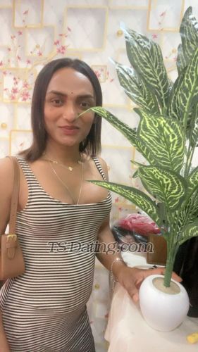 trans girl TSShilpa 3773403