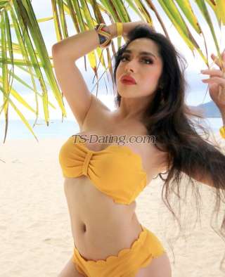 trans girl TSShkita 6337745 trans girl TSShkita 6337745