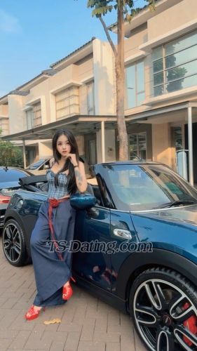 trans girl TSWIJAYA 6606145 trans girl TSWIJAYA 6606145