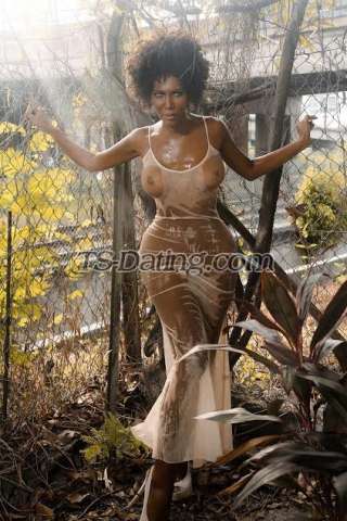 trans girl TSWandaSue 6012123 trans girl TSWandaSue 6012123