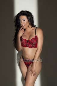 TS YASMINA Montreal Transex FIRST TIME IN MONTRÉAL 
Wathsapp me +1
6179529159
Hello gentlemans I am TS GORGEOUS DELUXE FROM
ITALY 🇮🇹   for first time my photos no surprise when
your arrived I am passing through your city in a private and
very discreet apartment come spend an unforgettable moment
with me and enjoy your time together please no calls mask do
not hesitate to contact me kisses and I see you soon 