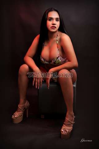 trans girl TSblocksexy 0796460 trans girl TSblocksexy 0796460