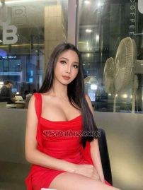 TScoco444 Seoul Transex I’m glad I’ve caught your attention,
My name is
Coco, and I’m ready for some fun with the men 

I
am a beautiful Thai ladyboy, with D cup breasts just waiting
for you to play 
with. I am very versatile as both a TOP
and BOTTOM. 

I have beautiful long black hair, size
8 body always ready for you in beautiful
lingerie.

My service includes;
- Tantalising
blowjob
- Blowjob on me
- Anal on me
- Anal on
you
- Cum twice for hour bookings
- Mutual
masturbation
- Sex with multiple positions 
- Hand
relief
- Rimming (receiving only)
- Relaxation
Massage

I am perfect for a first timer or someone
curious, but also love a man who knows what and how he wants
it too. 

I look forward to meeting you, please note
these photos are my own, I am 100% genuine. I work
independently and have my own incall for you to come
visit.

For both our safety all services are
protected. For your convenience I provide everything
necessary.

Overnight rates are available please
contact me for details. 

Don’t let me be the one
that got away!! 

WhatsApp +82
10-4239-8999
Telegram  +82 10-4239-8999

If
texting please use the following template:

Hi
Coco
My name is 
I am wanting to book on 
For

Are you available? Thanks 

This will help make
things seamless and help secure your booking
first.

Thank you 
