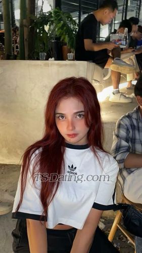 trans girl TShoneybee 2403048