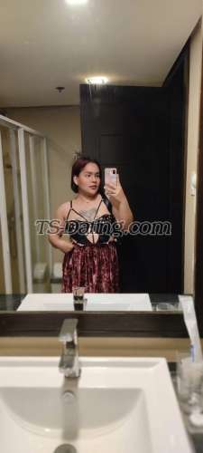 trans girl TSjannababee 4718309 trans girl TSjannababee 4718309