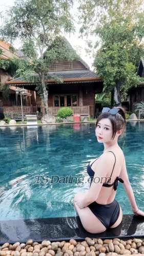 trans girl TSmomo 9904830 trans girl TSmomo 9904830