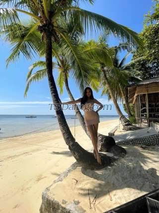 trans girl TSnathalie 2700139 trans girl TSnathalie 2700139