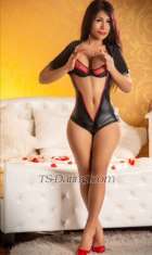 TS nikol lati Stuttgart Transex Exklusive Escort ⭐️⭐️⭐️⭐️⭐️ TS Party Top
Playa de los Catalanes
TS Top Party (großer Penis), gut
bestückt, 20 cm, keine Tricks.
Ich spreche Englisch,
Deutsch und Spanisch.

Hallo, mein Name ist TS Bella
Top Party, eine 24-jährige High-Class-Dame, 1,69 m groß,
70 kg schwer, mit definiertem Körper, eine echte Nymphe.
Mittelgroße, gebräunte Brüste, mit einer großen
Überraschung zwischen den Beinen, 20 cm, für Ihr
ultimatives Vergnügen. Ich biete Getränke und ein Bad
vorher und nachher an. Für Männer mit gutem Geschmack und
anspruchsvollem Geschmack biete ich meine zahlreichen
hochwertigen Dienstleistungen an, immer vorbereitet mit
feinster Dessous, Latex, Fantasie, Designer-Heels,
Strümpfen ... Ich werde für unsere Begegnung immer
wunderschön aussehen.
Sehr aktiv (ich liebe es), passiv
(enger Hintern), Zungenküsse (Hygiene), Vorspiel, Massagen
(Körper), Fisting, Oralsex, Spermabad (Körperejakulation),
Poppers, Party, Dreier, Dildos, harte und sanfte Dominanz
(mit Zubehör), Duschen, Fußfetisch, BDSM, orale
Ejakulation, Feminisierung (Kleidung, Make-up)
usw.
Anfänger, keine Sorge, ich führe euch ohne Druck
und mit Geduld zum Vergnügen. Ich bin transsexuell, ideal
für Sex-Neulinge.
Für Paare, die ihre Beziehung
aufpeppen möchten, bin ich perfekt. Ich kümmere mich um
beides und bringe euch zum ultimativen sexuellen Wahnsinn,
zu intensiven Dreiern.
Ich ficke Fotzen, lecke sie,
mache Dreierküsse und mache Gangbangs. Hausbesuche mit
Banküberweisung sind möglich.
Ich akzeptiere
keine.
Dominanz.
Niedrige Preise.
Videoanrufe
(kostenlos).
Ich sende keine Fotos oder Videos.
Ich
bin 100 % echt und habe aktuelle Fotos.

Nur für
ernsthafte Menschen, die einen Termin vereinbaren möchten.
Neugierige oder Perverse akzeptiere ich nicht.