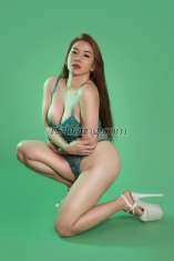 TSpaula69 Bugis Transex