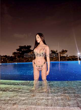 trans girl TSsexgodess 9267924 trans girl TSsexgodess 9267924