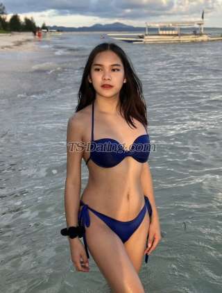 trans girl TSyoungPamela 7892444 trans girl TSyoungPamela 7892444