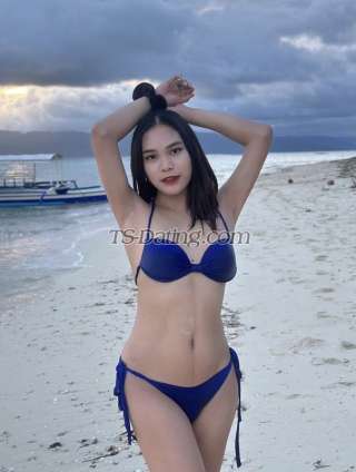 trans girl TSyoungPamela 7892466 trans girl TSyoungPamela 7892466