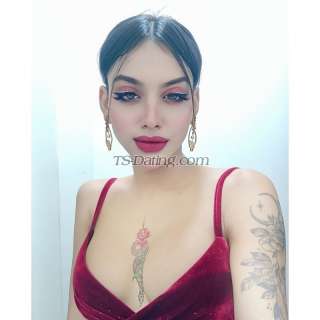 trans girl Taanish 8315417 trans girl Taanish 8315417