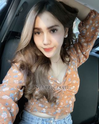 trans girl Tamaraniesha9 4406321 trans girl Tamaraniesha9 4406321