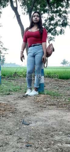 trans girl Tanisharoy 1838805 trans girl Tanisharoy 1838805