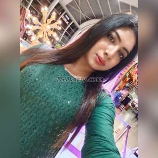 trans girl Tanisharoy 8513106 trans girl Tanisharoy 8513106