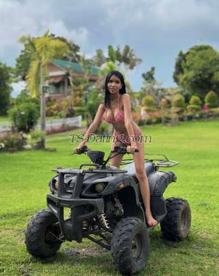 trans girl Tara28 5477754 trans girl Tara28 5477754