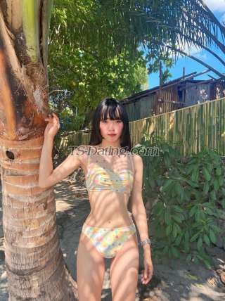 trans girl Terryyyy 6893245 trans girl Terryyyy 6893245