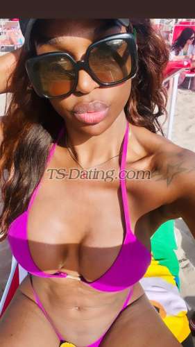 trans girl ThaisGama 4255344 trans girl ThaisGama 4255344